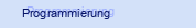 Programmierung